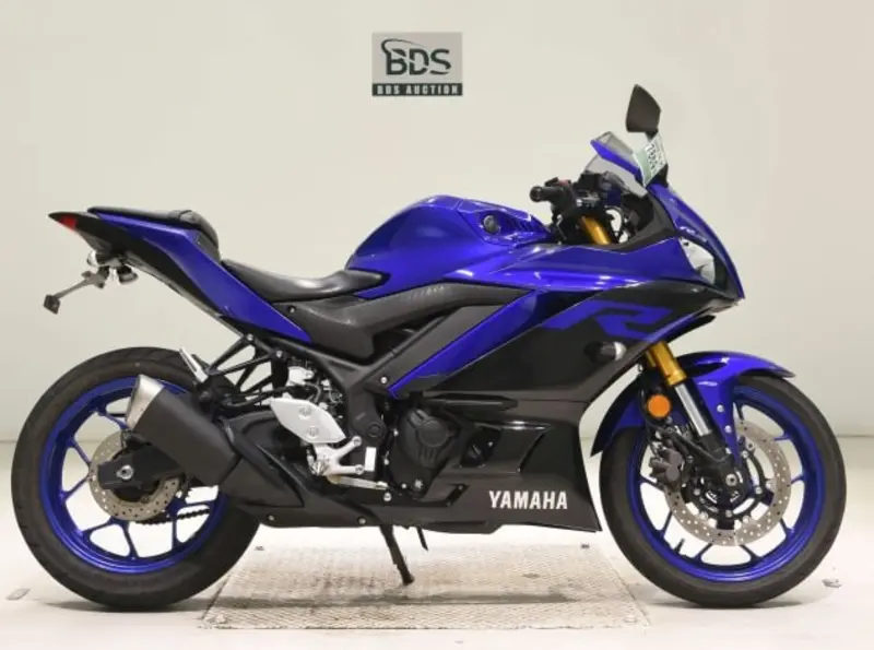 Yamaha YZF-R3 2019